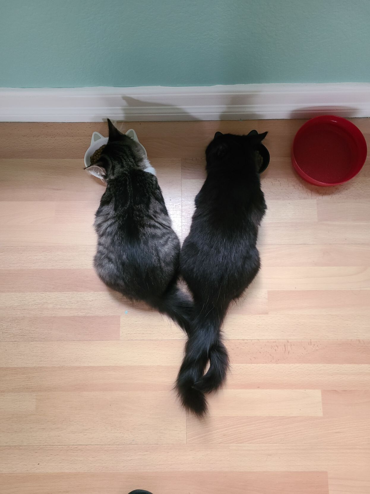 Calvin & Cooper